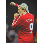 TORRES911