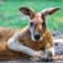 Дмитрий Кузьмин