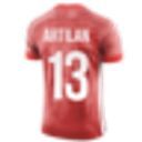 Artilan