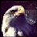 Dnipro calcio fan :)