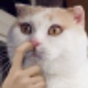 Свободу Попугаям