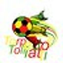 Анатолий Голиков