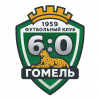 GOMEL CITY